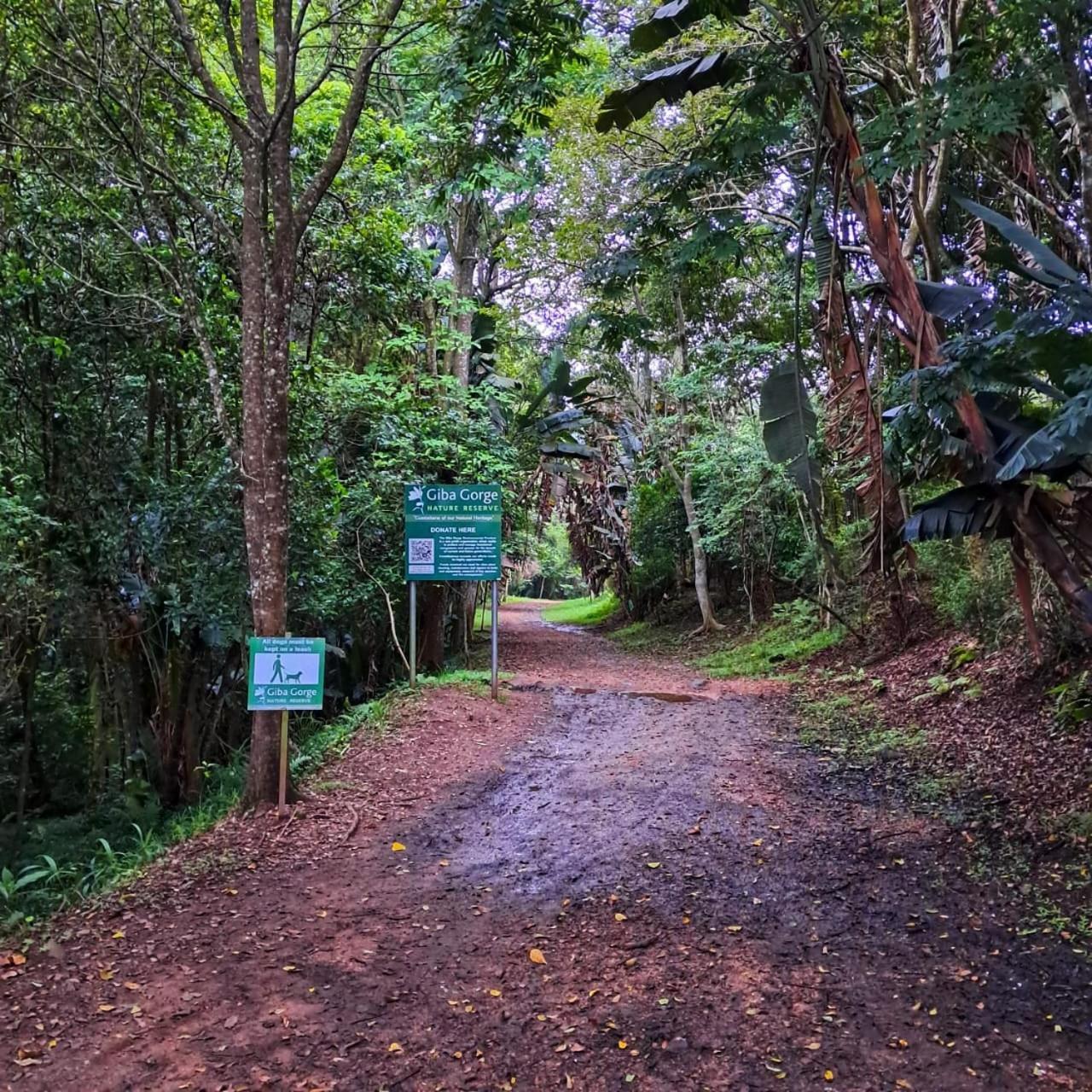 Highview Lodge Gillitts エクステリア 写真